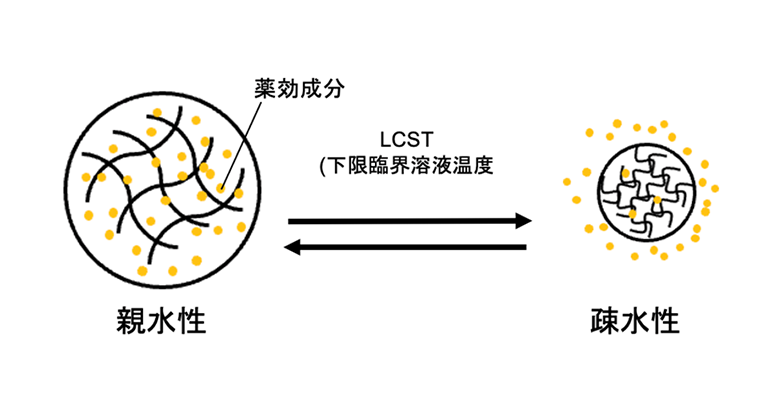 温度応答性ハイドロゲル相転移時の構造変化と電気特性の相関を新手法で解明～「レオ・インピーダンス法」で、流れ・構造・電気応答を同時測定～
