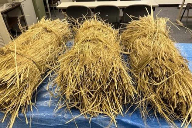 【開催報告】2025年 第6回 野田きゃんカフェ「“稲わらで手作り” ～新年を彩る正月飾り体験～」を開催しました（12/13）