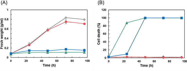 共生菌が植物培養細胞の“眠れる代謝能力”を呼び起こす～共培養による有用化合物の効率的生産技術の開発～