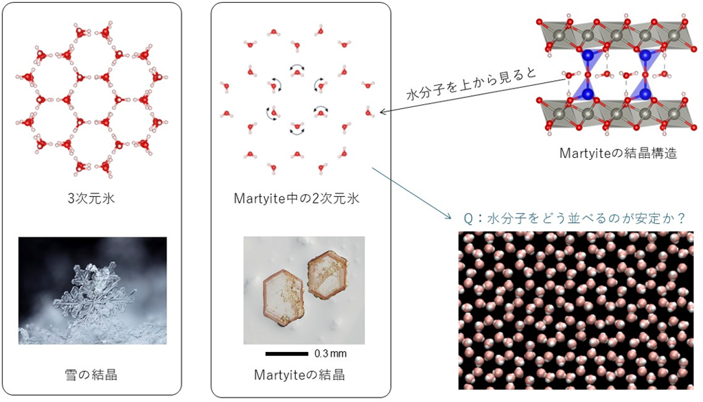 図1：3次元氷と2次元氷のハニカム格子（水分子の蜂の巣状配列）