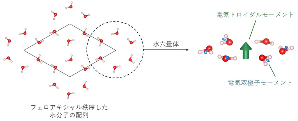 図2：水分子のフェロアキシャル秩序と水六量体
