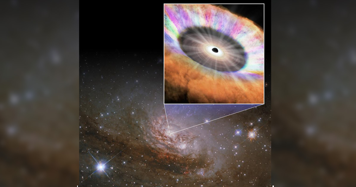 超大質量ブラックホール近傍の化学組成―極限環境の宇宙蛍光X線が照らし