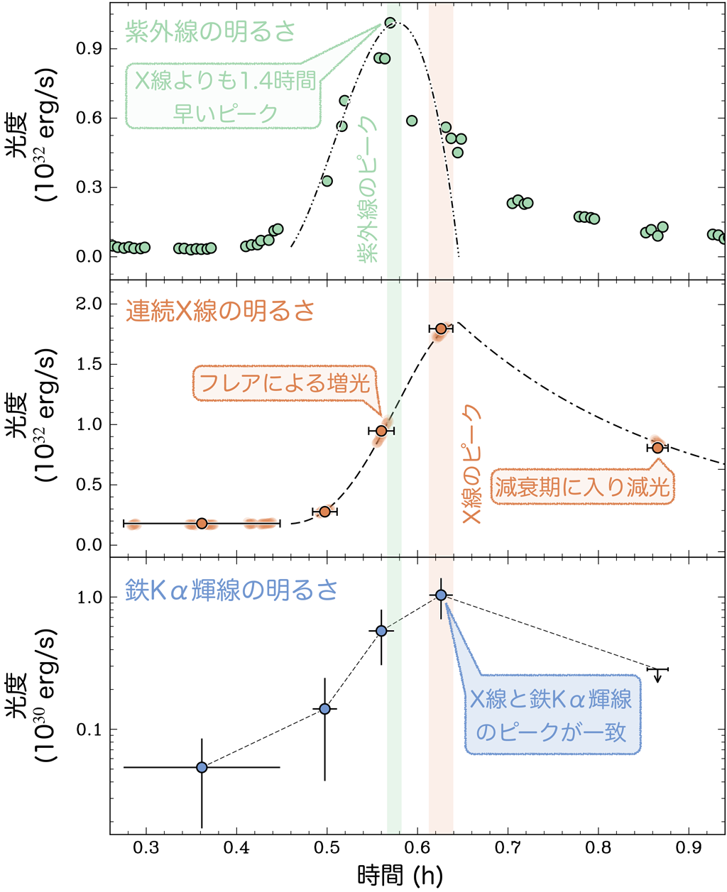 フレア中の紫外線・連続X 線・鉄Kα輝線の明るさの時間変動