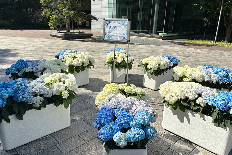 「全国みどりと花のフェアかつしか」に特別協賛(5/16~6/14)