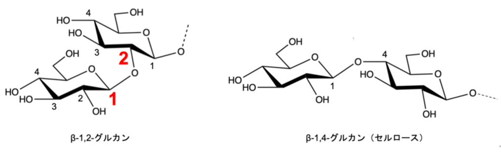β-1,2-グルカン、β-1,2-グルコオリゴ糖