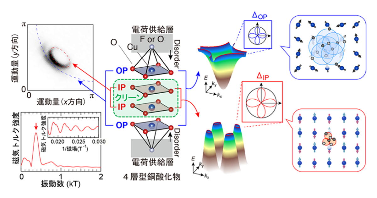 少数なのに強く結びつく高温超伝導電子を発見｜東京理科大学