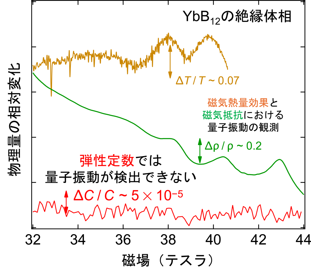 図2 強磁場下におけるYbB12の磁気熱量効果（黄）、磁気抵抗（緑）、弾性定数（赤）の変化。