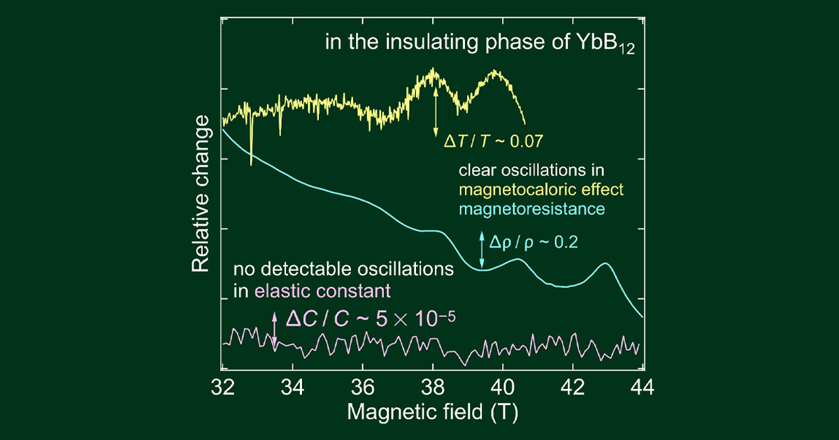 近藤絶縁体YbB₁₂における磁気音響量子振動の探索～超音波実験により