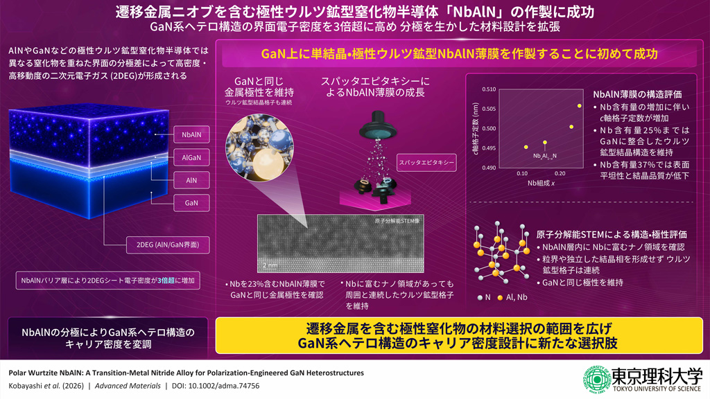 遷移金属ニオブを含む極性ウルツ鉱型窒化物半導体「NbAlN」の作製に成功