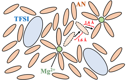 図3 AN-Mg-MOF中におけるアセトニトリル分子の拡散機構の模式図