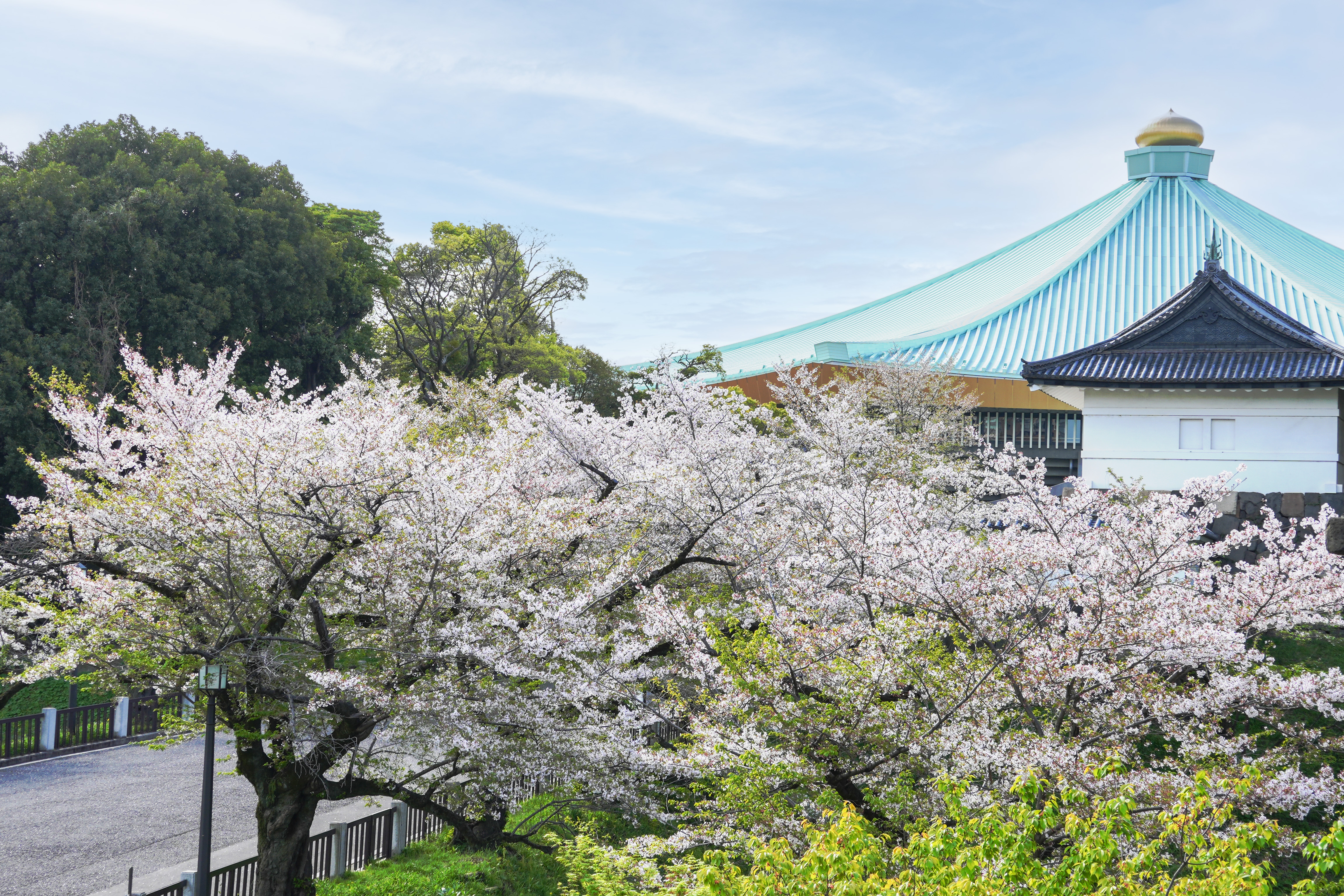 2026年度入学式を挙行(4/9)