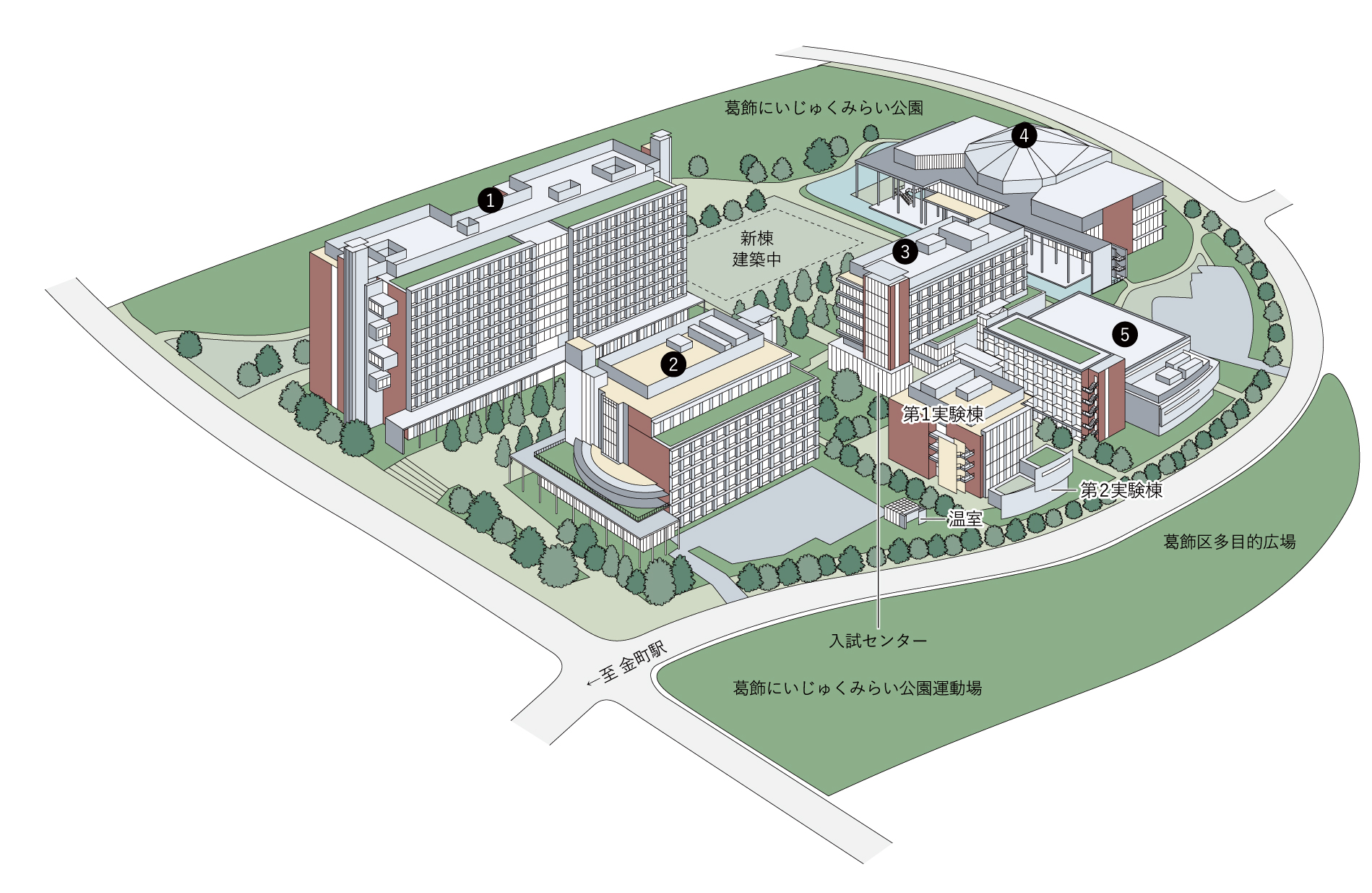 葛飾キャンパス Tus Life 東京理科大学