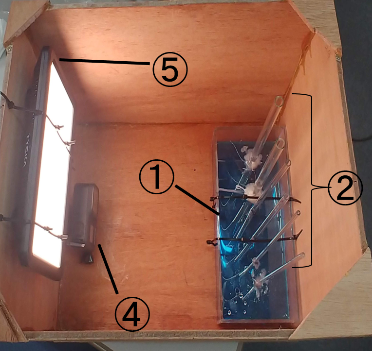 微小重力下における毛細管現象の挙動 宇宙教育プログラム 東京理科大